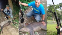 senapan angin review