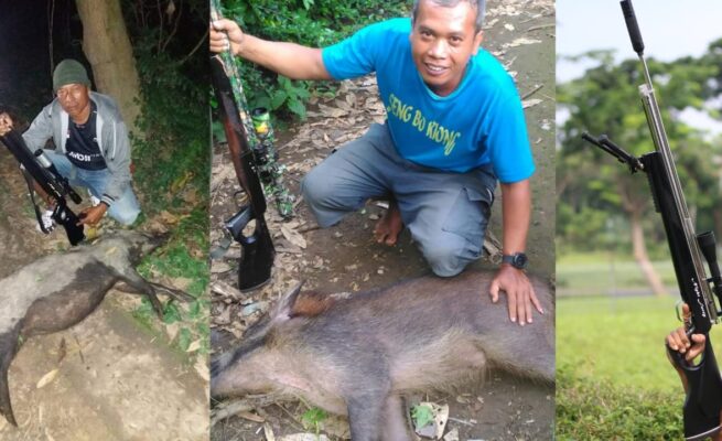 senapan angin review